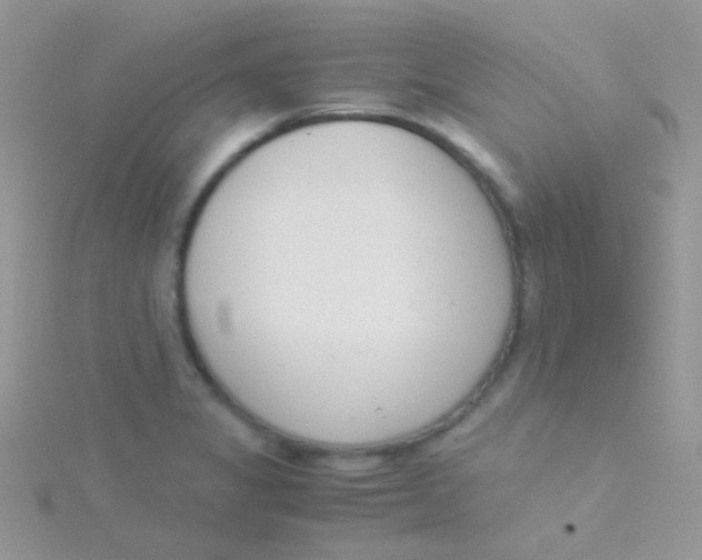 X0000115301325200911231301