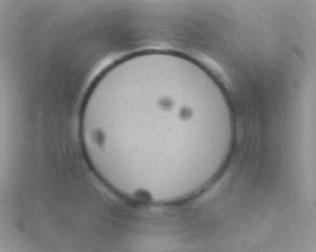 X0000115301326200911231301