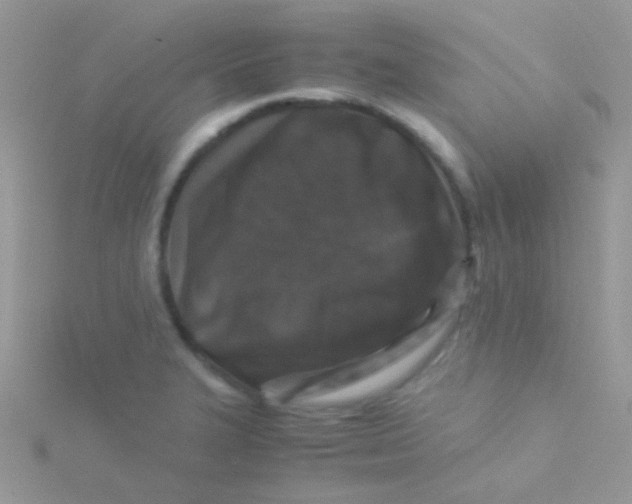 X0000115301327200911231301