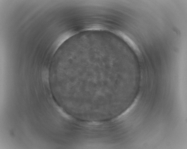 X0000115301329200911231301