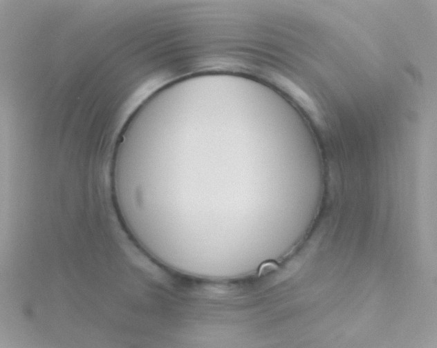 X0000115301330200911231301