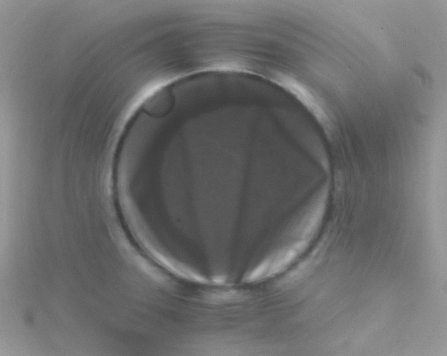 X0000115301331200911231301