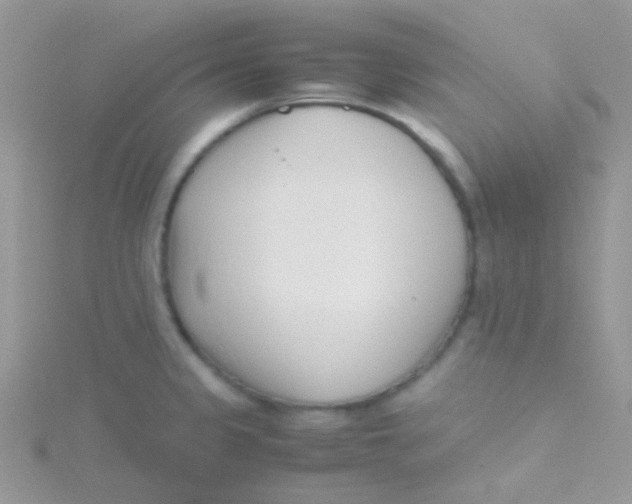 X0000115301333200911231301