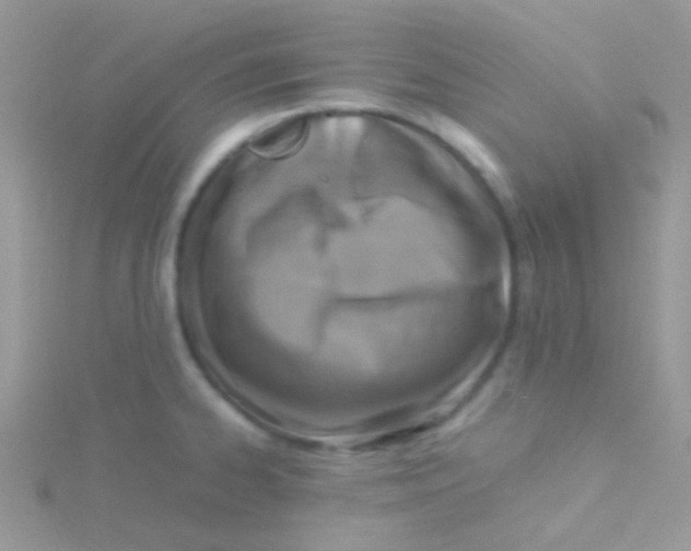 X0000115301334200911231301