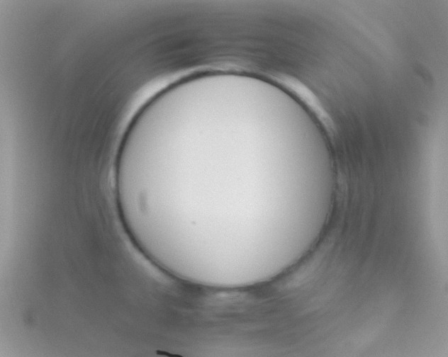 X0000115301335200911231301