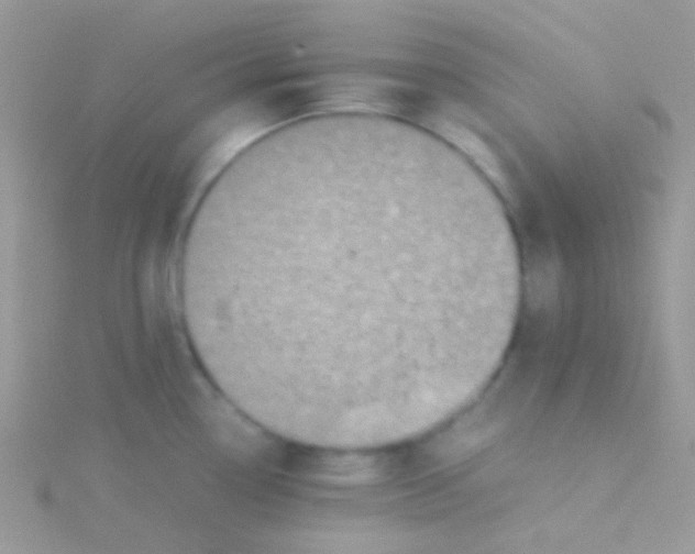 X0000115301338200911231301