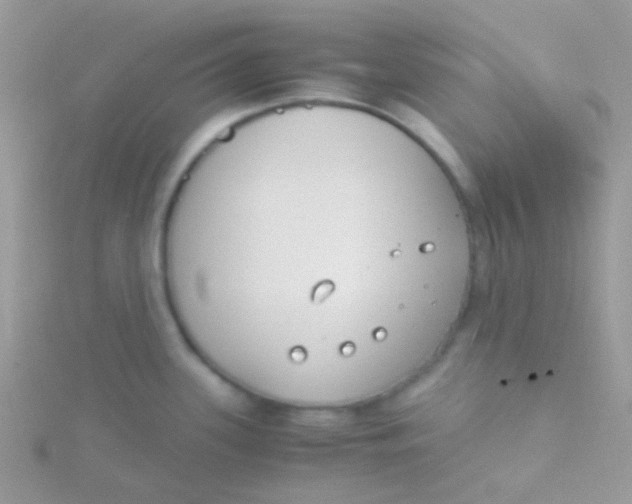 X0000115301339200911231301