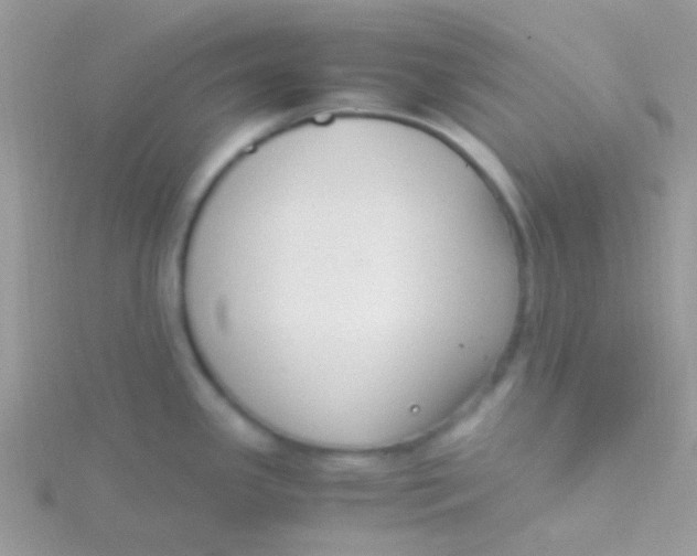 X0000115301341200911231301