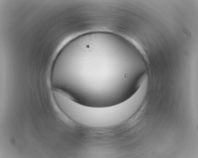 X0000115301342200911231301