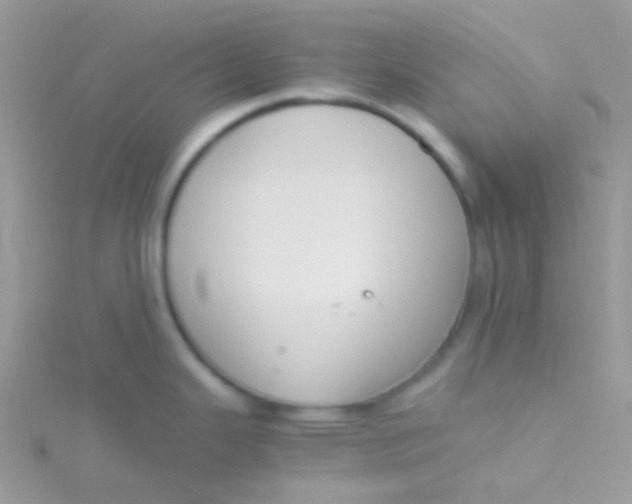 X0000115301343200911231301