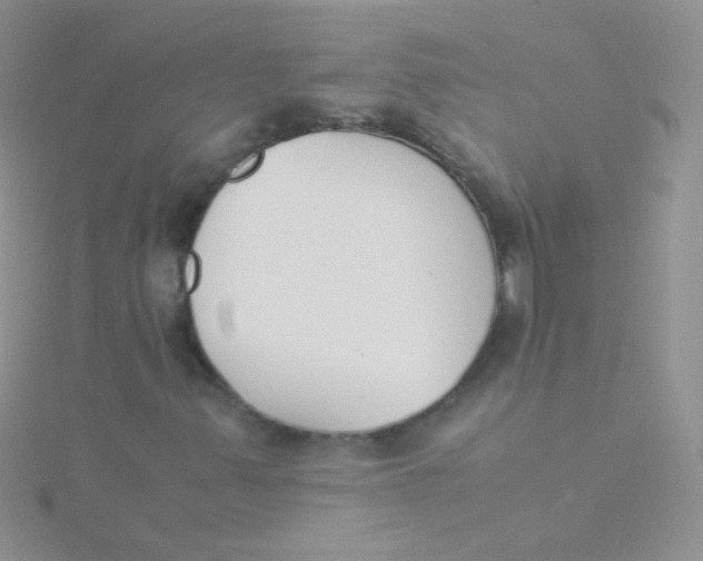 X0000115301347200911231301