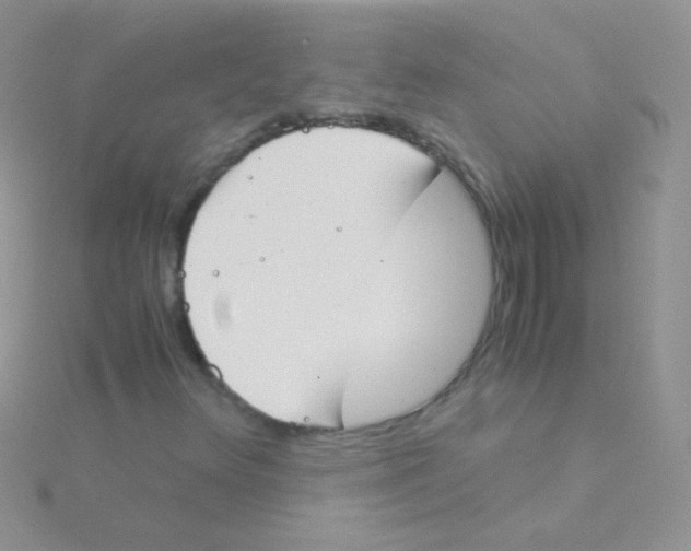 X0000115301348200911231301