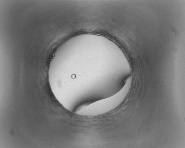 X0000115301349200911231301