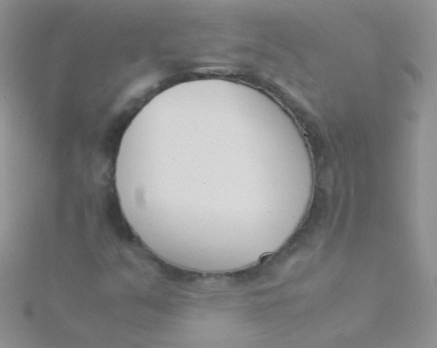 X0000115301351200911231301