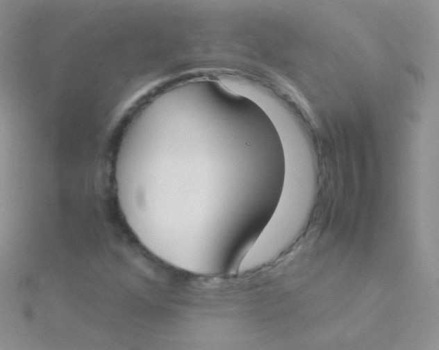 X0000115301352200911231301