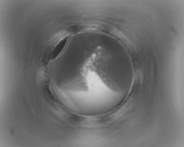 X0000115301353200911231301