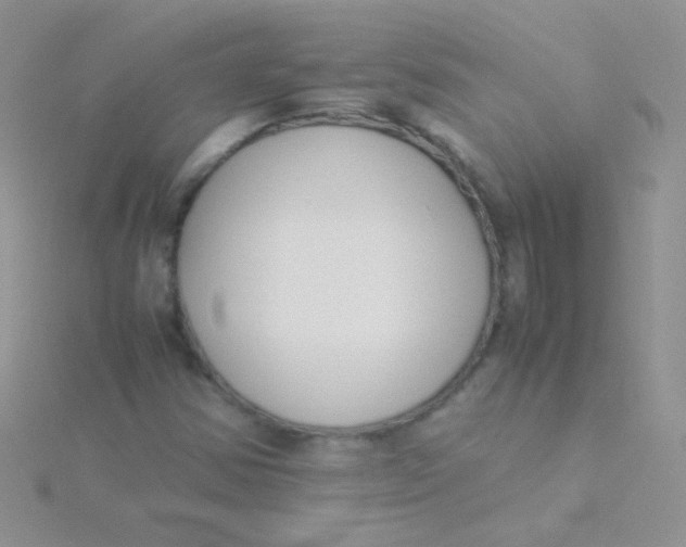 X0000115301354200911231301