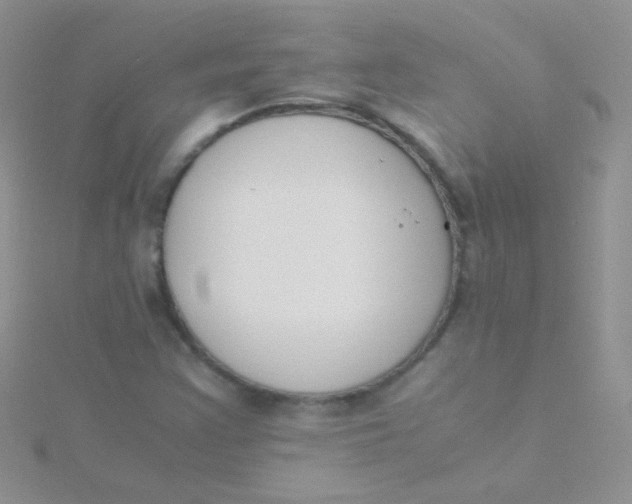 X0000115301355200911231301