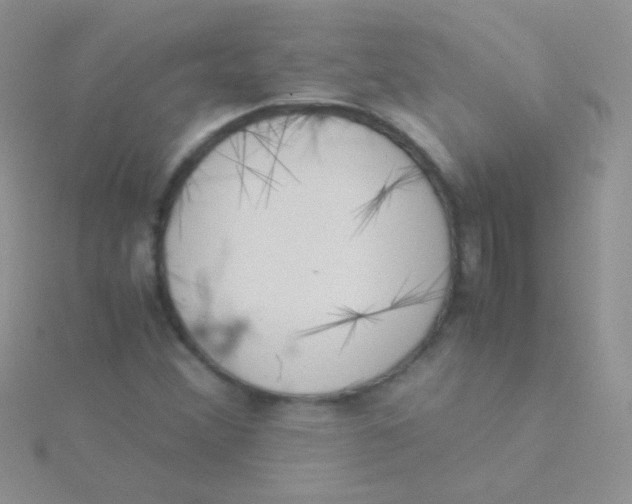 X0000115301356200911231301