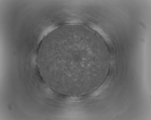 X0000115301357200911231301