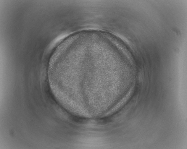 X0000115301359200911231301