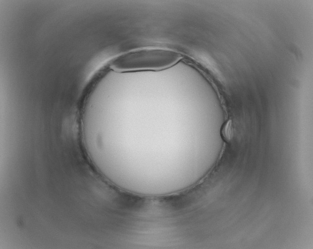 X0000115301360200911231300