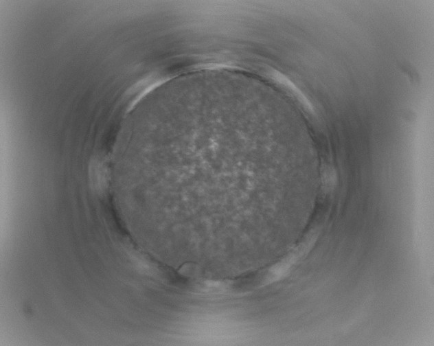 X0000115301361200911231300