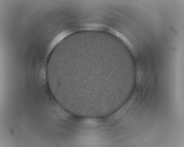 X0000115301362200911231300