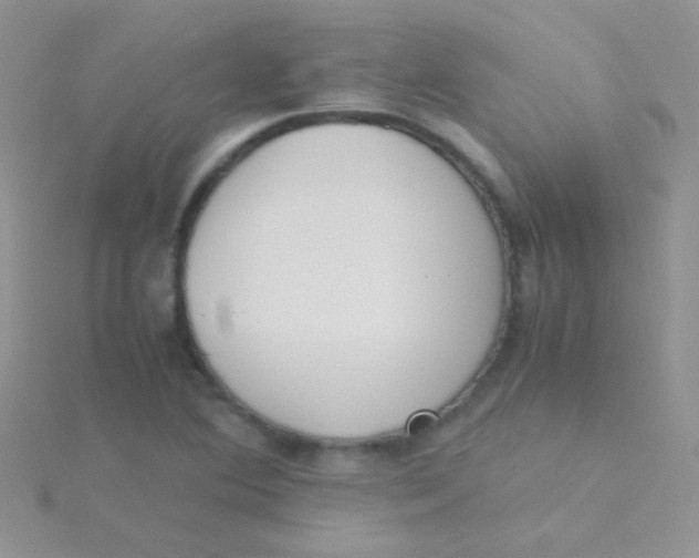 X0000115301364200911231300