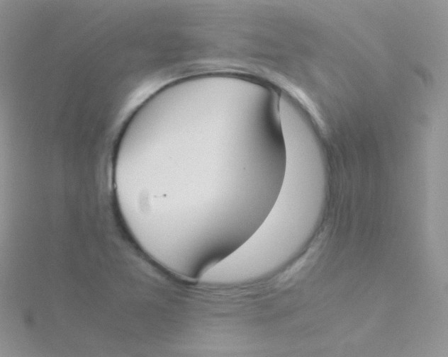 X0000115301365200911231300