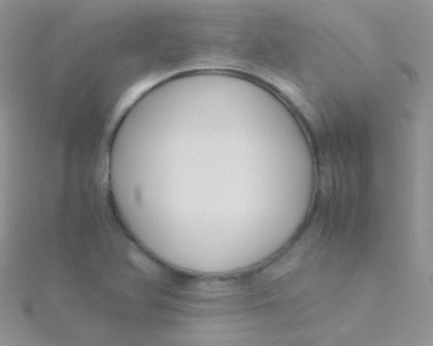 X0000115301366200911231300