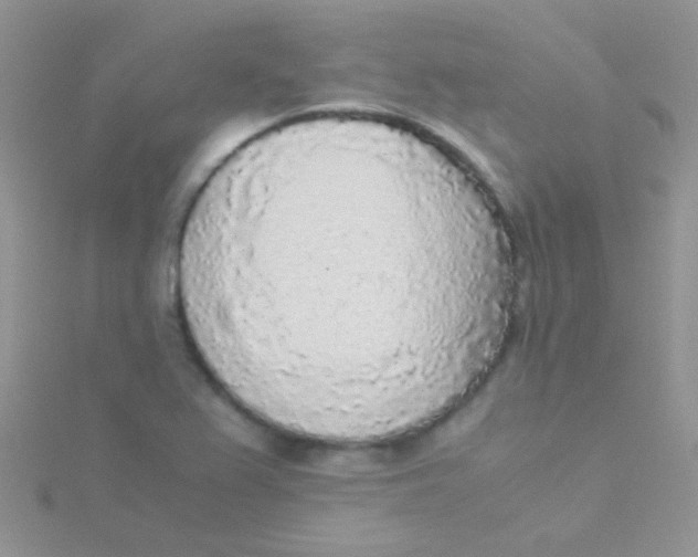 X0000115301367200911231300