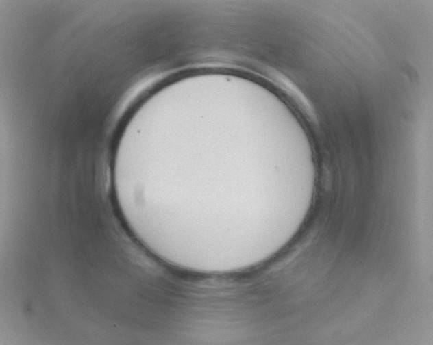 X0000115301368200911231300