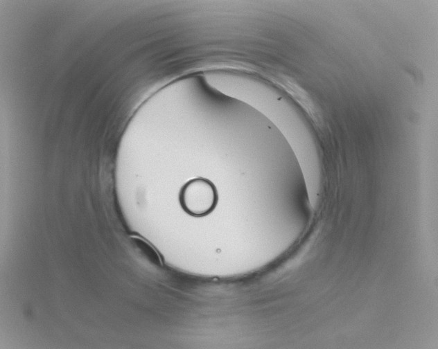 X0000115301369200911231300