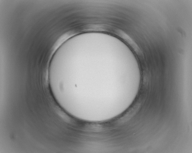 X0000115301370200911231300