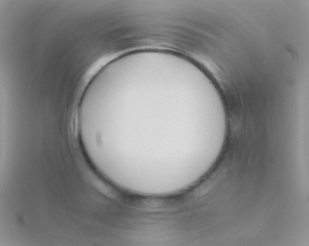 X0000115301371200911231300