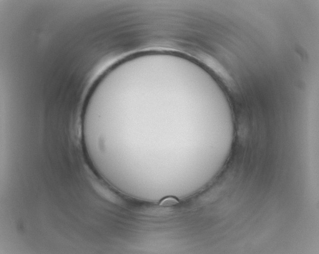 X0000115301372200911231300