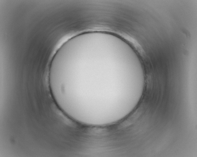 X0000115301374200911231300