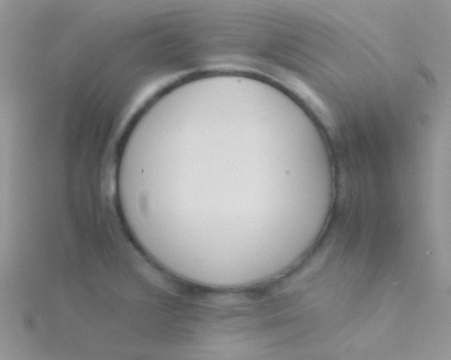 X0000115301376200911231300