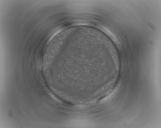 X0000115301377200911231300