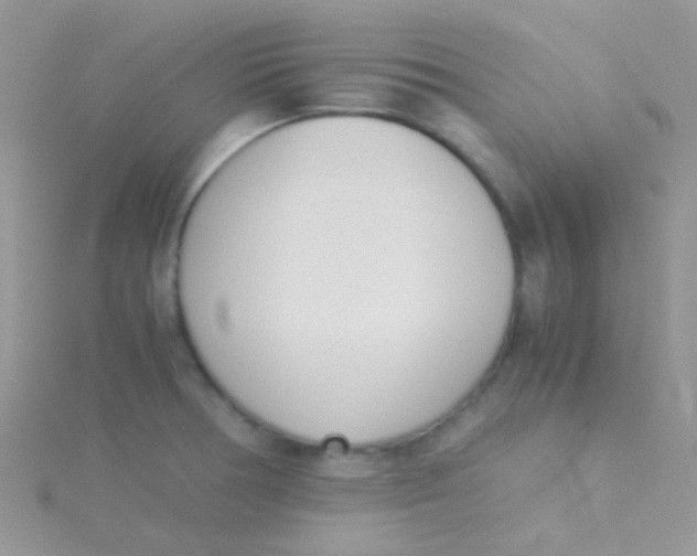 X0000115301378200911231300