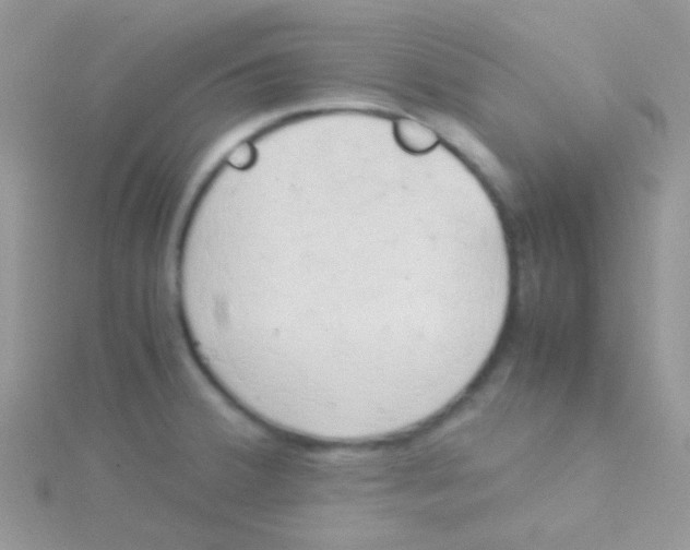 X0000115301380200911231300