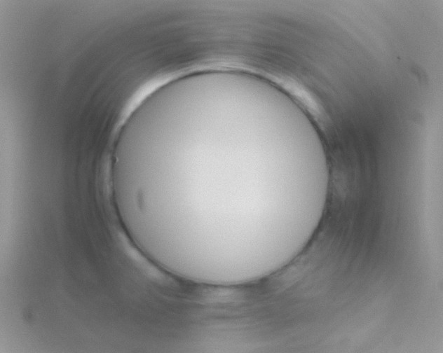 X0000115301382200911231300