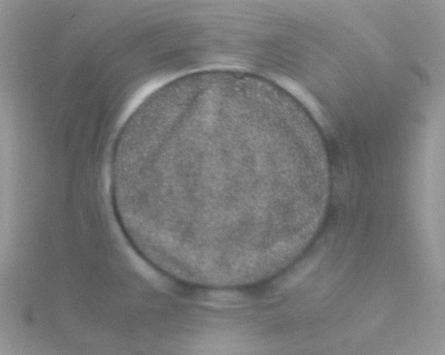 X0000115301383200911231300