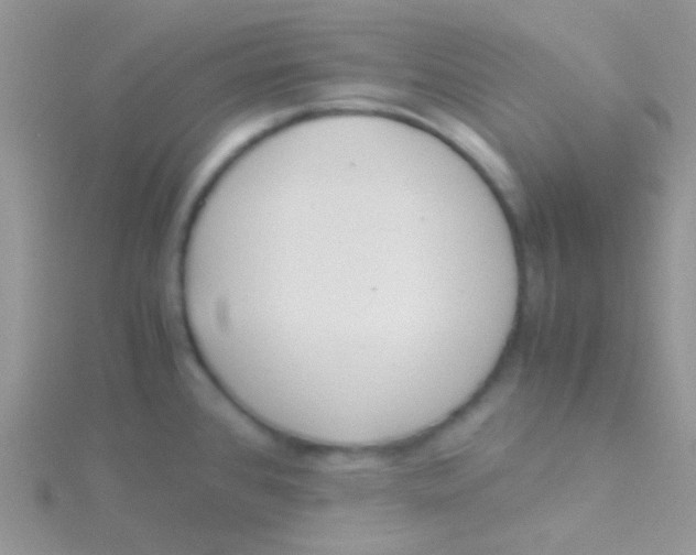 X0000115301384200911231300