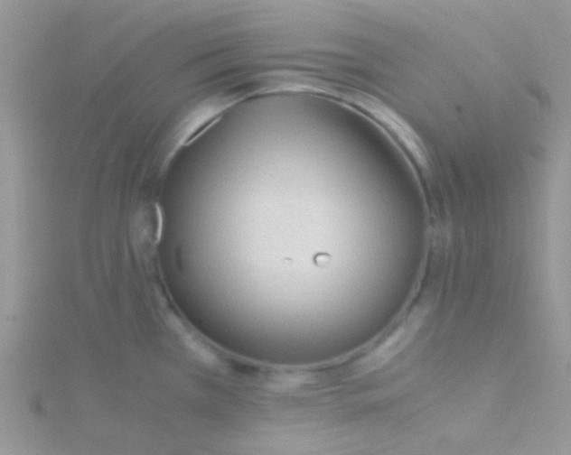 X0000115301385200911231300