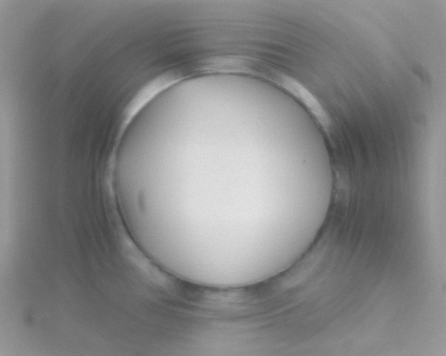 X0000115301386200911231300