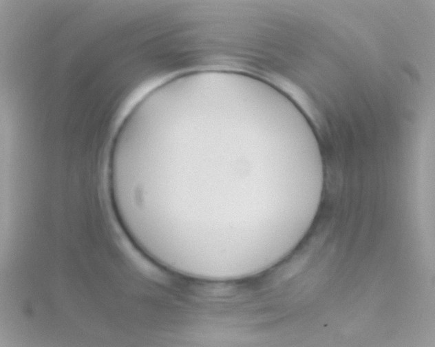 X0000115301387200911231300