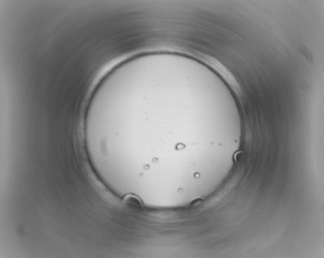 X0000115301388200911231300