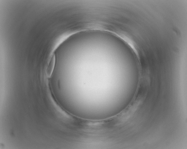 X0000115301389200911231300